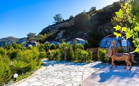 Amazing Cyprus Glamping Domes - Glamping Cyprus
